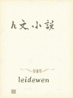 h文小说