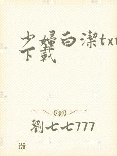 少妇白洁txt下载