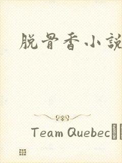 脱骨香小说