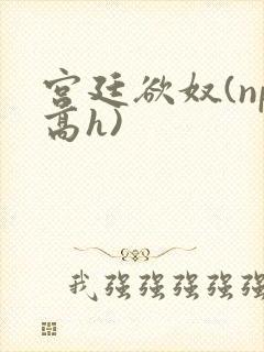 宫廷欲奴(np高h)