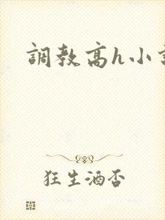 调教高h小说
