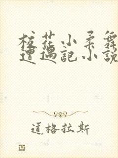 校花小柔舞蹈室遭遇记小说