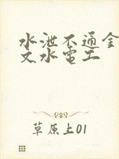 水泄不通金银原文水电工