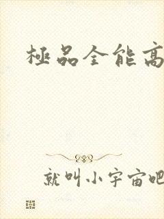 极品全能高手
