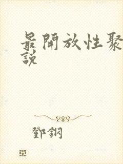 最开放性聚会小说