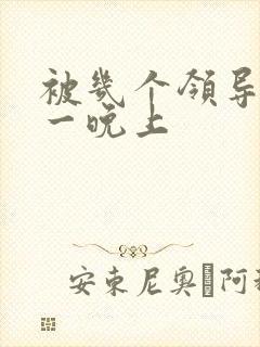 被几个领导玩弄一晚上