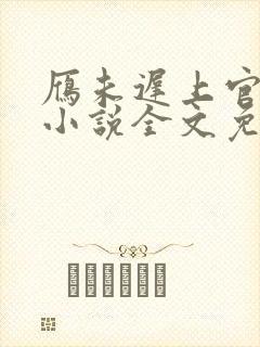 雁未迟上官穿越小说全文免费阅读