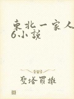 东北一家人1一6小说