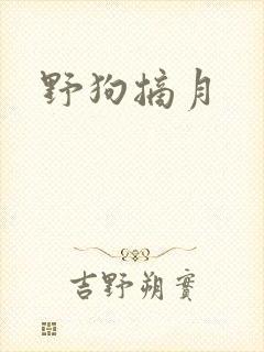 野狗摘月
