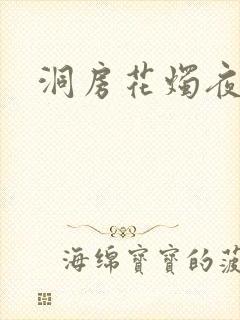 洞房花烛夜小说
