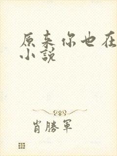 原来你也在这里小说