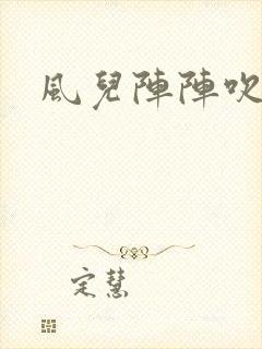 风儿阵阵吹封面