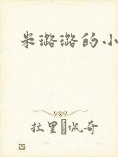米璐璐的小说