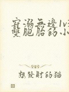 宠溺无边1v3双胞胎的小说