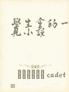 学生会的一己之见小说