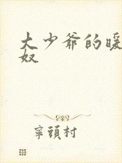 大少爷的暖床小奴