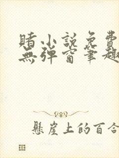 赌小说免费阅读无弹窗笔趣阁