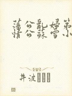 荡公乱妇第1章情公苏雪小说