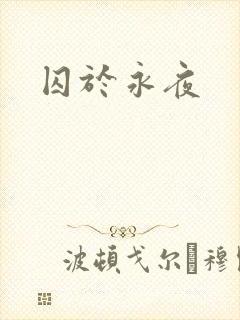 囚于永夜封面