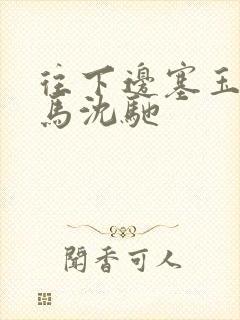 往下边塞玉器骑马沈驰封面