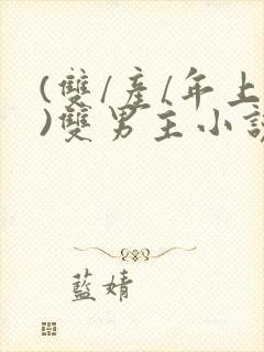 (双/产/年上)双男主小说