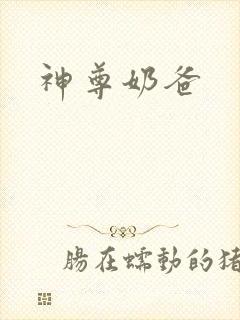 神尊奶爸