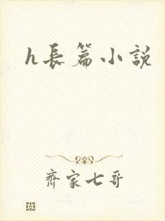h长篇小说
