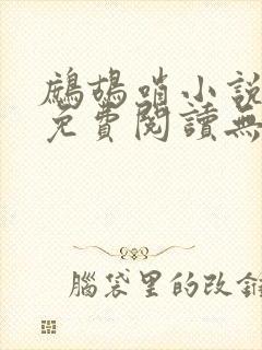 鹧鸪哨小说网站免费阅读无弹窗