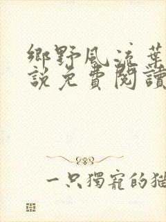 乡野风流叶凡小说免费阅读