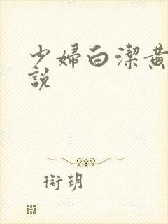 少妇白洁黄色小说