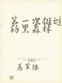 第一次挺进麻麻的黑森林封面