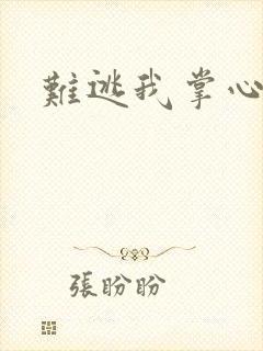 难逃我掌心封面