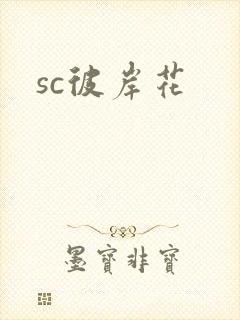 sc彼岸花