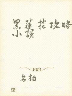 黑莲花攻略手册小说