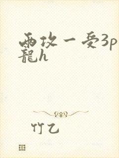 两攻一受3p双龙h