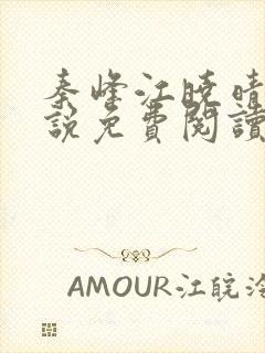 秦峰江晓晴的小说免费阅读