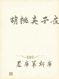 胡桃夹子夜未眠