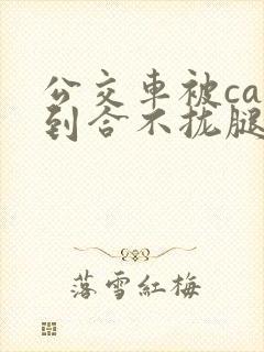 公交车被cao到合不拢腿视频