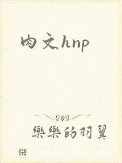 肉文hnp