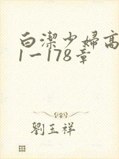 白洁少妇高义第1一178章