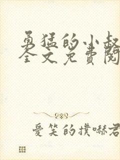 勇猛的小叔小说全文免费阅读