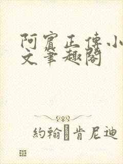 阿宾正传小说全文笔趣阁