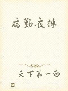 病勤夜栋