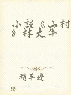小说《山村情事》林大牛