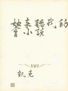 《她来听我的演唱会小说》小说封面