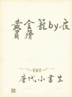 黄金笼by夜很贫瘠封面