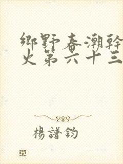 乡野春潮干柴烈火第六十三章