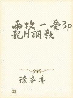 两攻一受3p双龙H调教