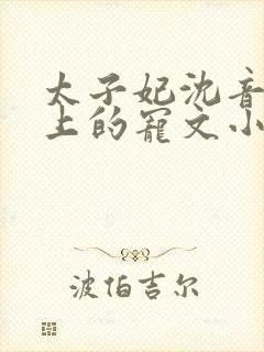 太子妃沈音和皇上的宠文小说