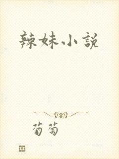 辣妹小说